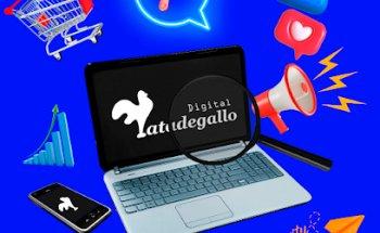 Patadegallo - Agencia Marketing Digital Segovia