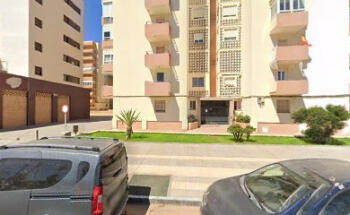 3 Monos Estudio