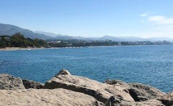 Marbella Website Design