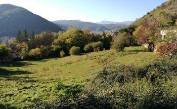 Tus pensamientos son semillas