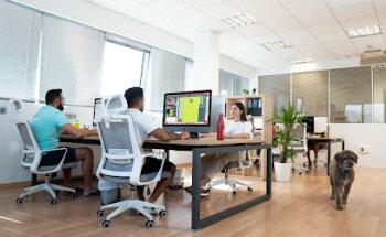 WIT CREATIVO | Agencia de Marketing Digital en Granada. Agente Digitalizador en Granada. Kit Digital