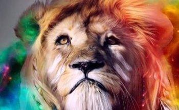 Diseño Web Las Palmas