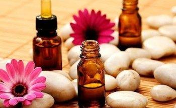 Tu sitio web, Optimizado y SEO Organico