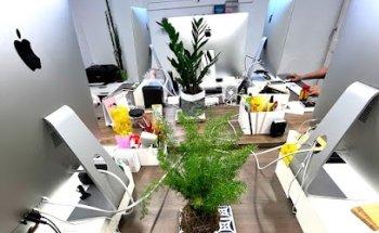 Indesigners Estudio Creativo