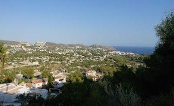 Ren Rows Marketing Consultas