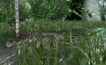 Estudio de Dibujos Animados y Animación 3D Y 2D