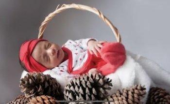 El Refugi de les Idees