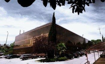 ANIMAL ANIMATION STUDIOS ️ Estudio de Animación 3D, 2D y VFX