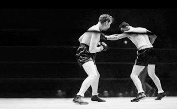 ALTEREGO comunicacion y diseño