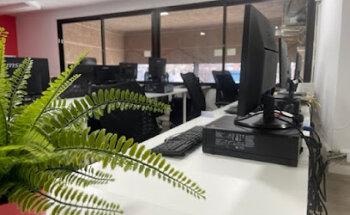 Muki | Agencia de Marketing Digital | Soluciones Integrales