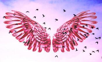 Pajarraco. Creativity for business growth