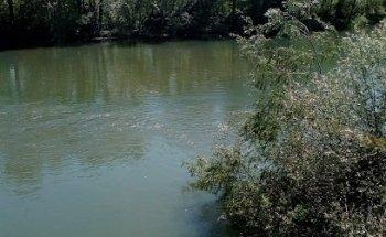 PEP PALAU, VON AREND & ASSOCIATS