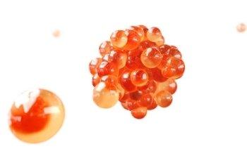 El Exilio × Estudio de animación 3D - Motion graphics - Video 2D y 3D - Madrid