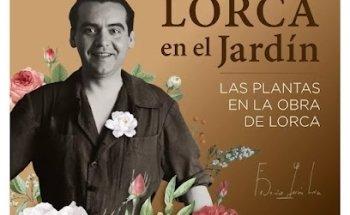 Grafica.mente Diseño Gráfico