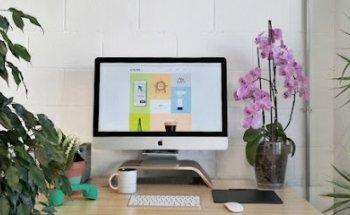 Alfalfa Disseny Gràfic S.L.