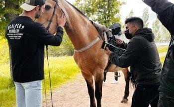 Atopic Studio Productora Audiovisual Madrid