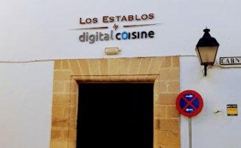 Digital Cuisine - Web Development & Graphic Design