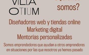 Diseñador web WordPress Madrid Grupo Villa Otium | Escuela de Negocios y mentorías para emprendedores Madrid y Alcalá