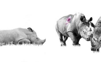 Aidearte . Comunicación Visual Corporativa y Packaging creativo