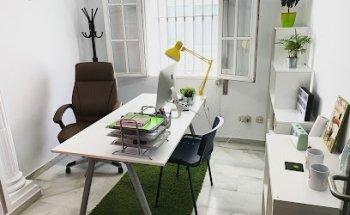 Aceituna Mecanica - Marketing Online