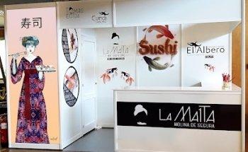 Diseño y Publicidad Intro