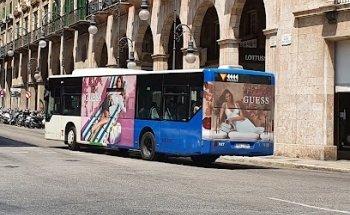 Grupo Malla Publicidad