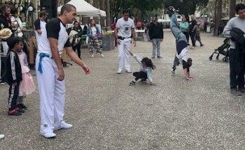 Marian Crespo Brands Sl