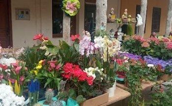 EVENMEDIA PRODUCCIONES S.L.