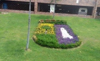 Valdemorillo en Vivo