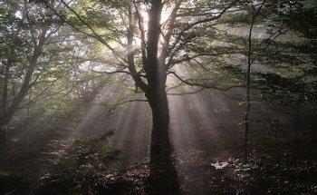 X2creativos 2006 S.L. Estudio de creación gráfica y publicidad