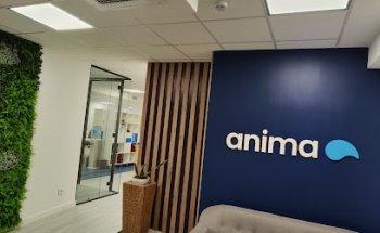 Anima | A better way to media