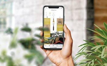 Agència de Publicitat i Comunicació Figueres | Deccom