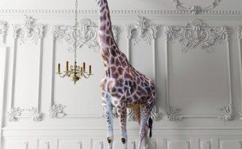 Slava Communication SL