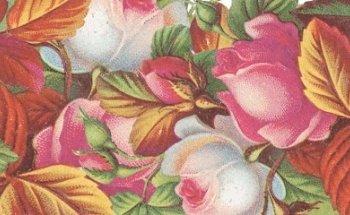 LETRABE Estudio Creativo