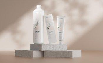 Little Buddha Branding Agency