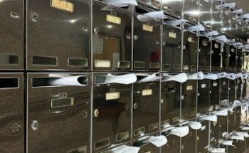 Logística Publitovar l Buzoneo