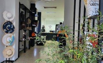 Taller de Costura VS. Sewing Workshop VS. Repairs, Customize, Designs, Builds