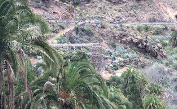 The Canary News & The Canary Guide