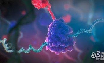 3DforScience - Visuals for BIO & Health