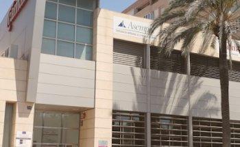 Despega SEO - Agencia SEO en Almería