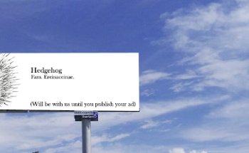 Iberian Pic Billboards