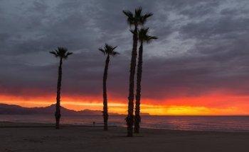 Símbolo Ingenio Creativo