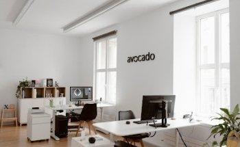 Avocado - Estudio de branding y diseño estratégico