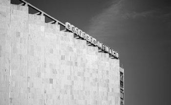 Mandarina Brand Society