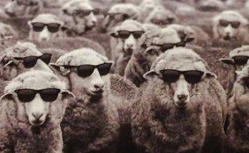 Karisma Ideas y Comunicación S.L.