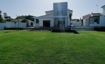 Alberto Montado Design