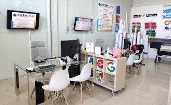 Consultoría y Marketing 2010