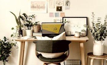 La Divina Proporción - Diseño Web