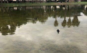 Marketing Live Consulting