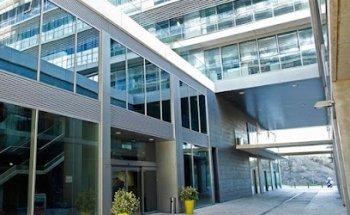 Sinapsi Estrategia Digital, S.L.